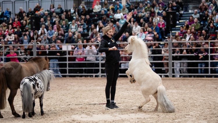 Influencerin Julia_Libertyhorses begeisterte im Aktionsring. Foto: Leipziger Messe / Anika Dollmeyer