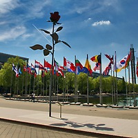 Isa Genzken: Rose Isa Genzken: Rose