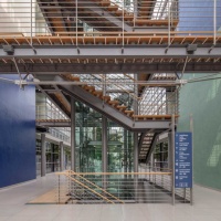 Günther Förg: Wall Painting Günther Förg: Wall Painting